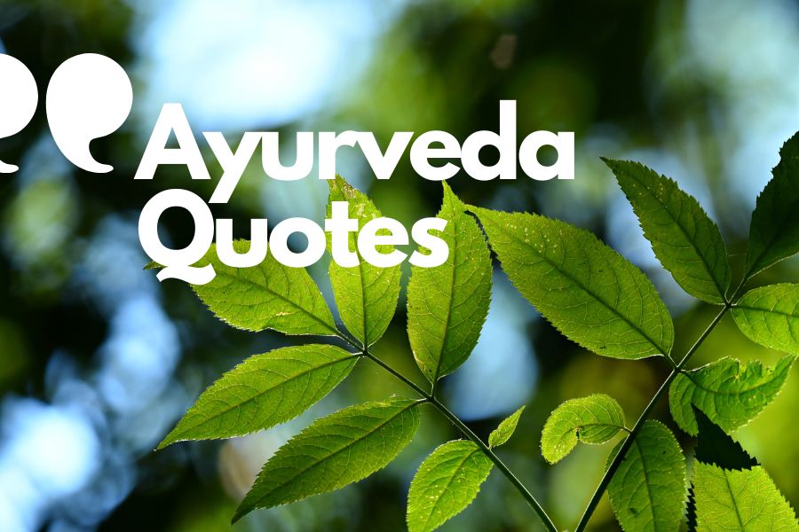 Ayurveda Quotes