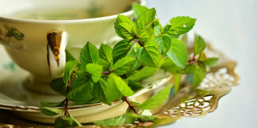 Ayurvedic Medicines/Treatments to Increase Penis Size