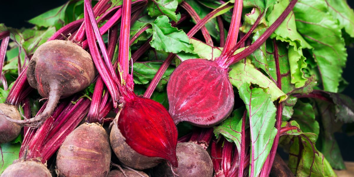 Is Beetroot Good for Diabetes?