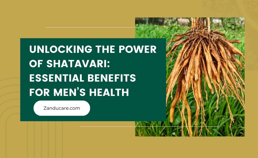 Benefits of Shatavari for Men’s Health