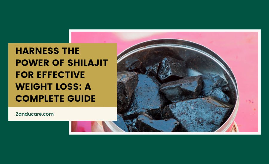 Shilajit for Weight Loss
