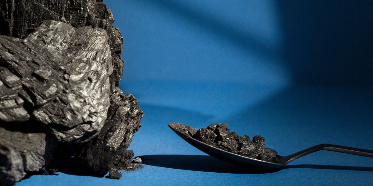 Shilajit brands in India