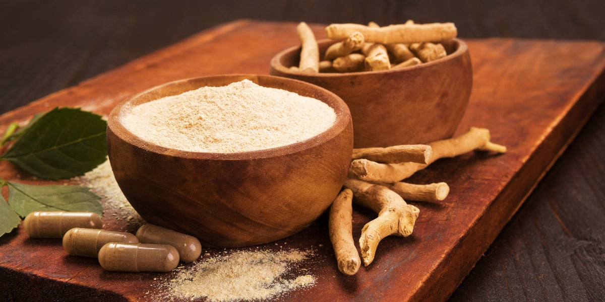 90 Days of Ashwagandha: How It Can Change Your Life