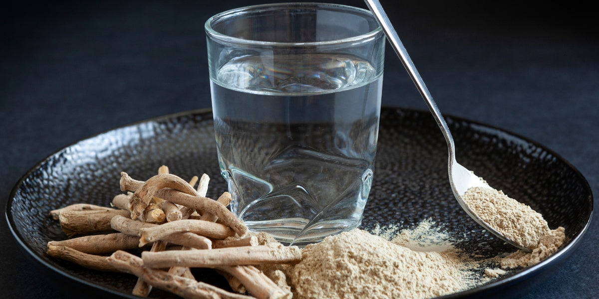 What Happens After 90 Days of Taking Ashwagandha KSM