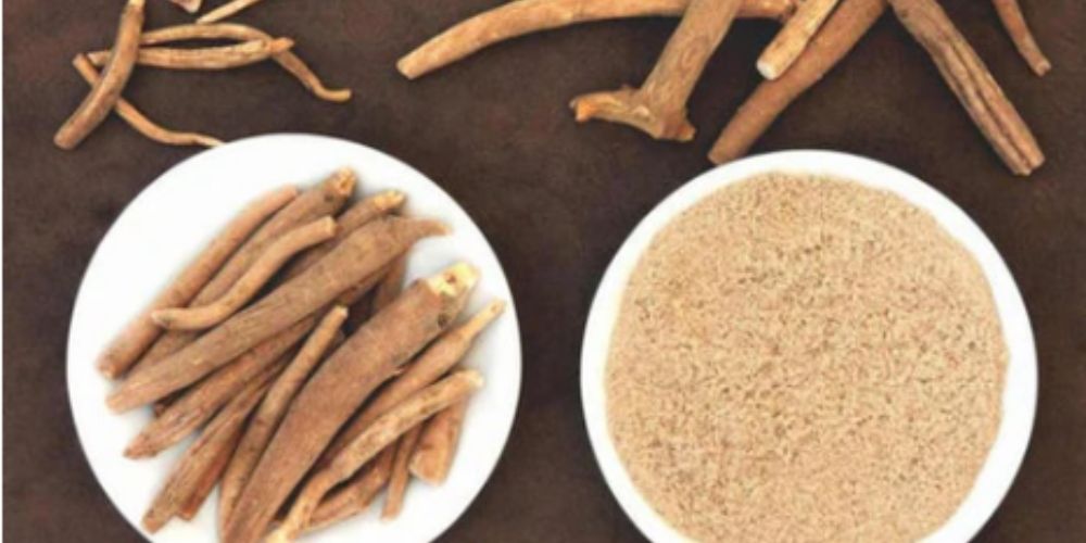 Ashwagandha Vs Gokshura: What Once Should You Eat?