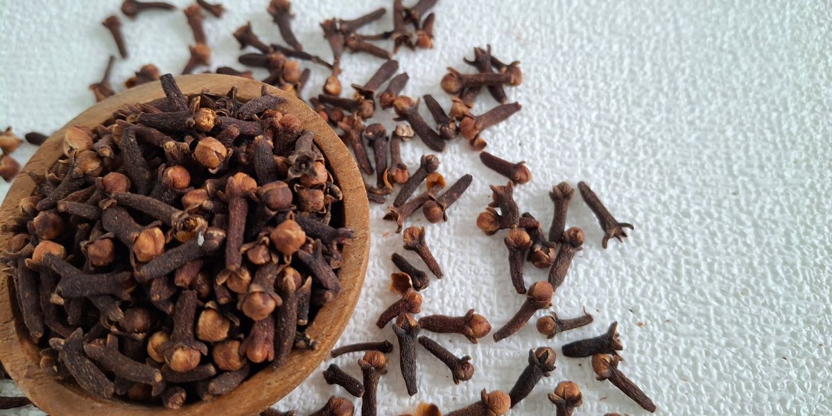 clove (लौंग)