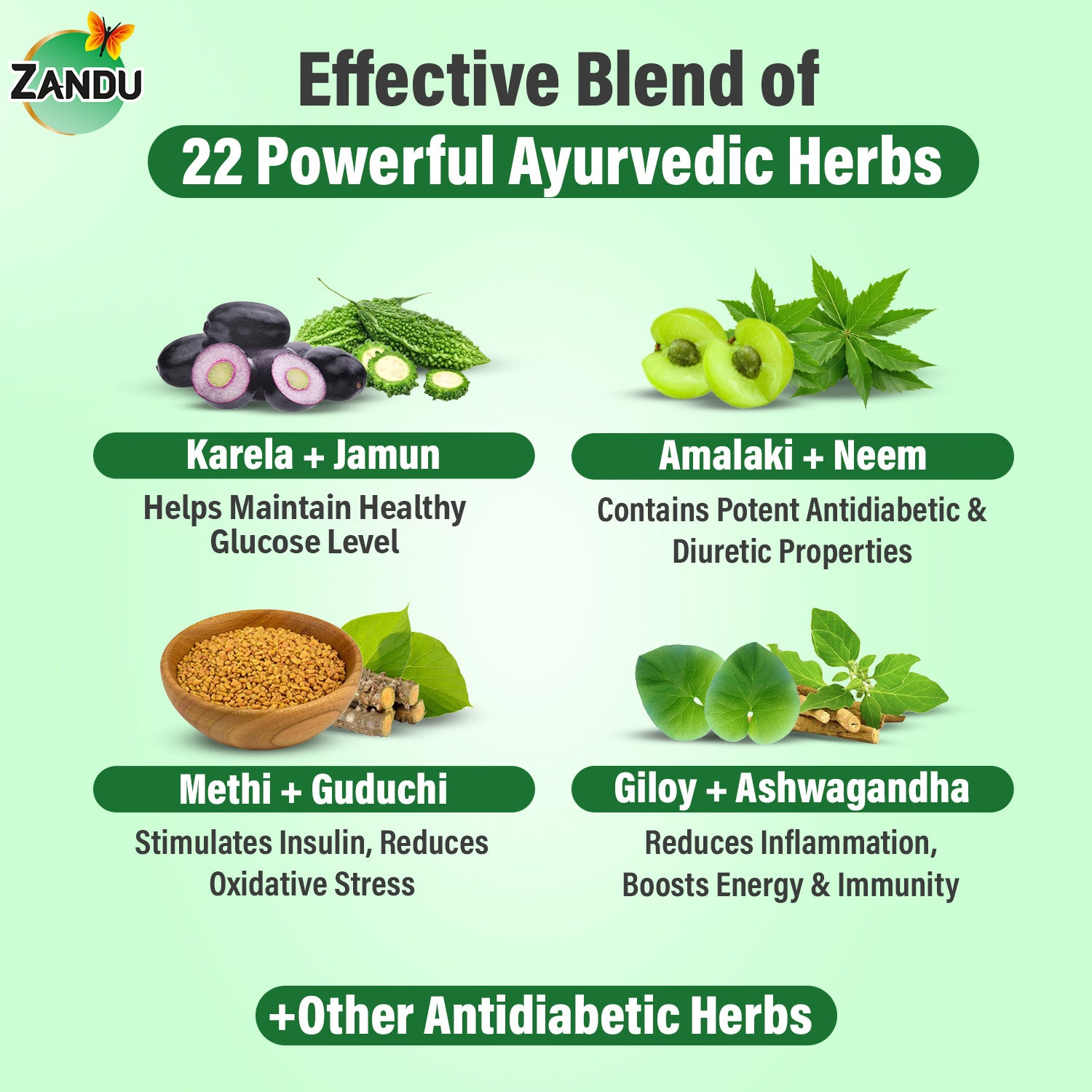 Zandu DiaBTS Arishta Tonic