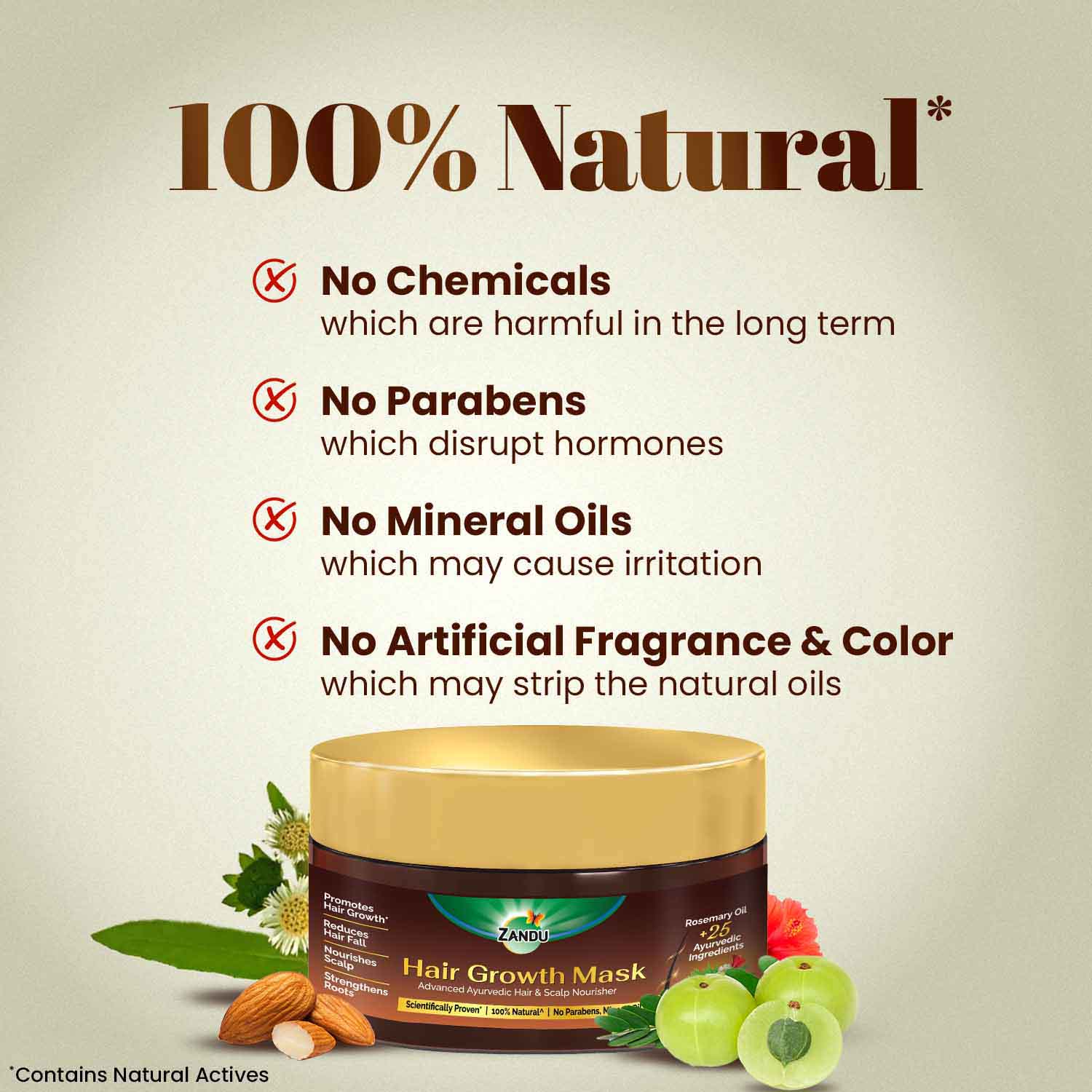 Zandu Ayurvedic Hair Growth Mask (200g)