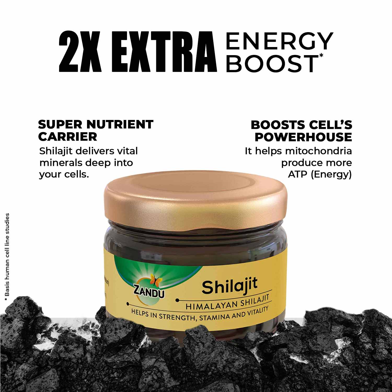 Zandu Himalayan Shilajit Resin