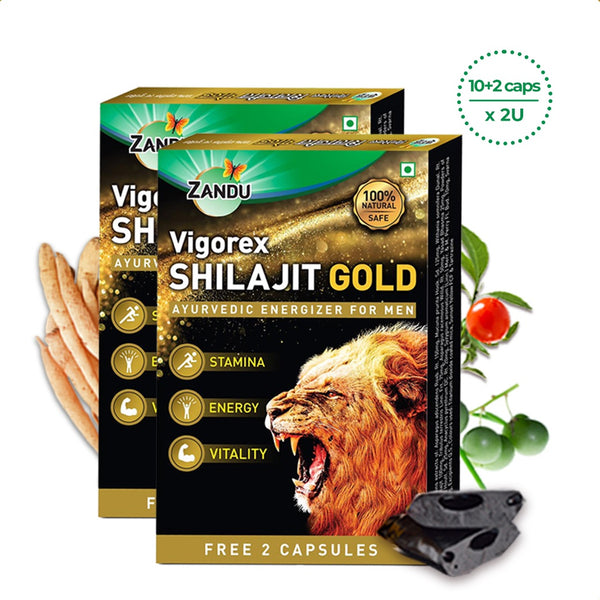 Zandu Vigorex Shilajit Gold Capsules (Pack of 2)
