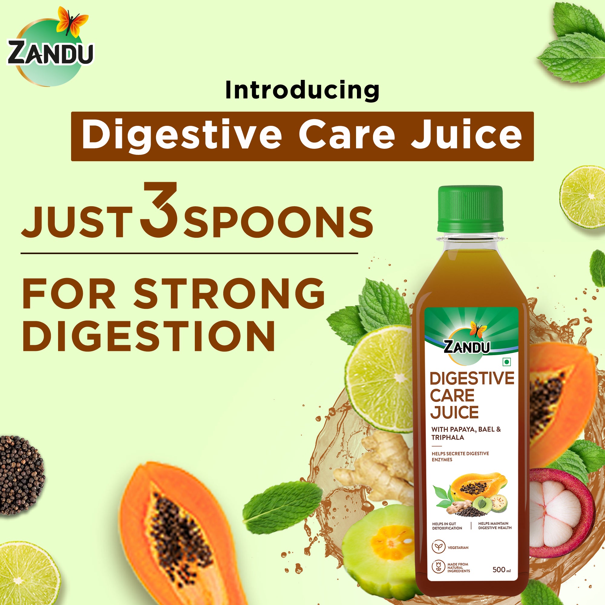 Zandu Digestion juice