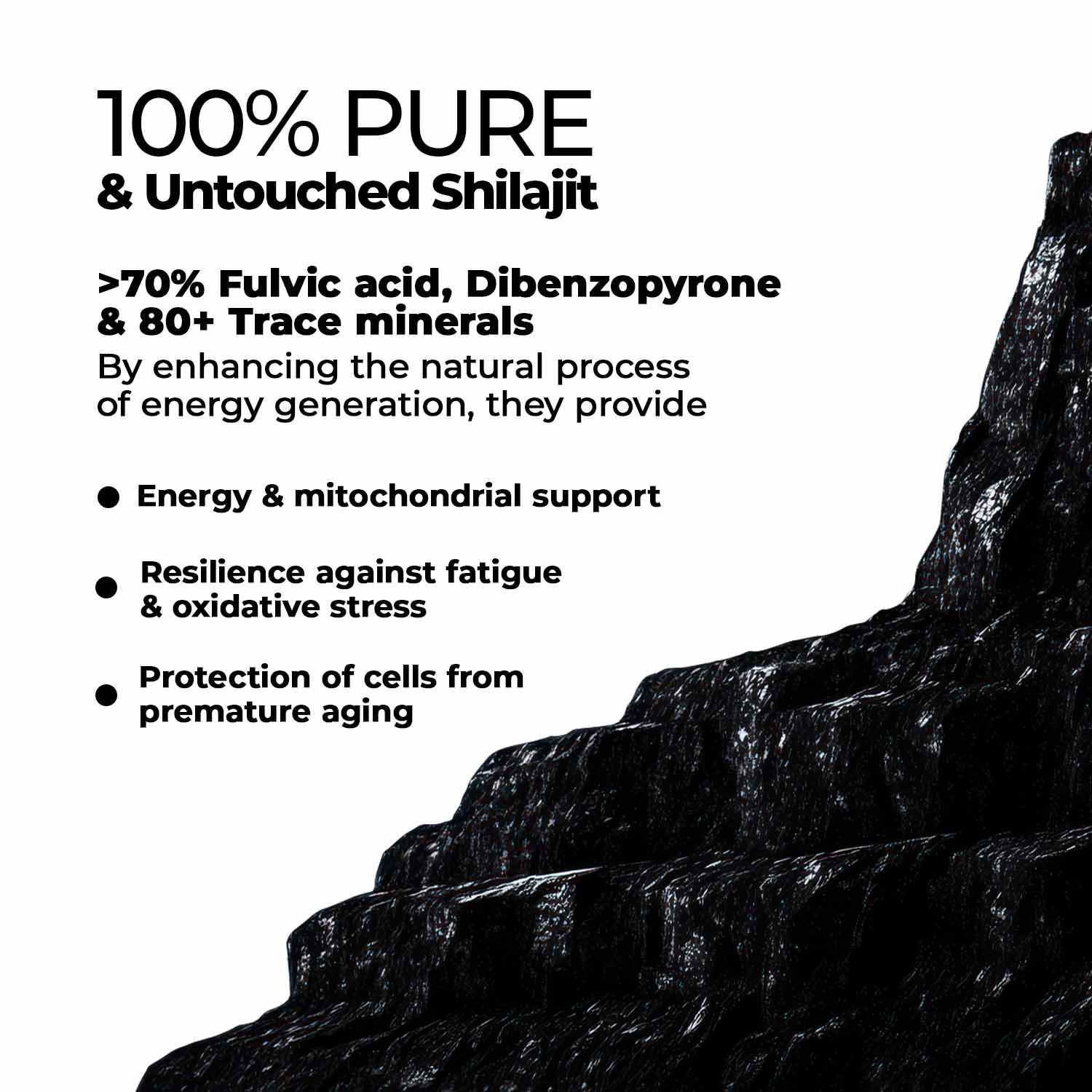 Himalayan Pure Shilajit Resin