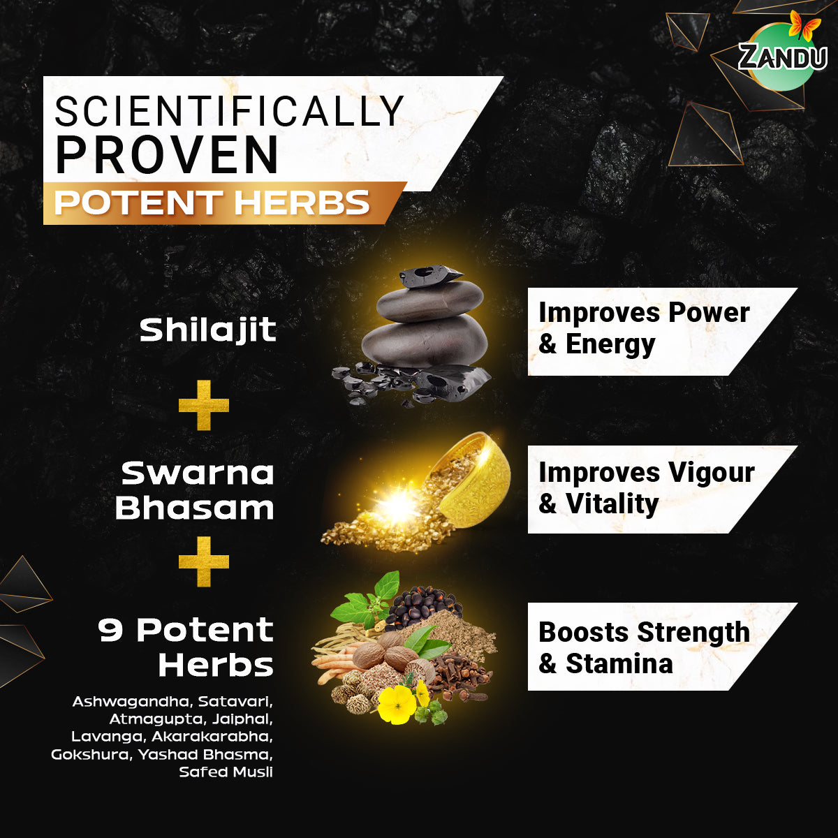 Shilajit Gold capsule ingredients