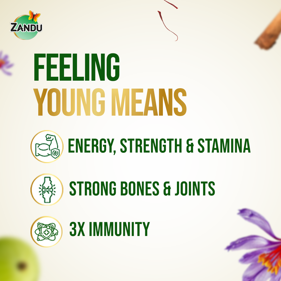 Zandu Anti-AGEs action Dirghayuprash (Suitable for Diabetics)