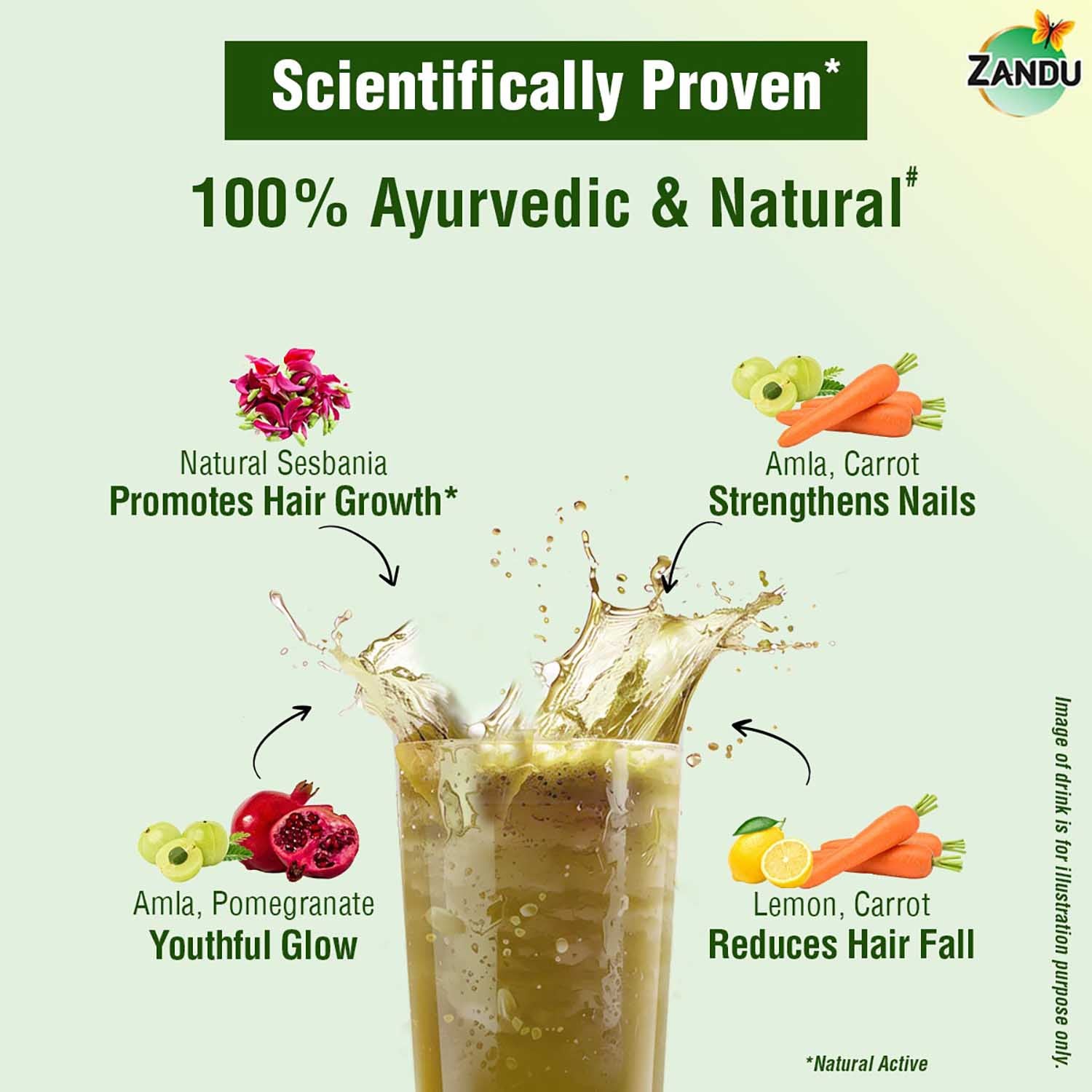 Zandu Plant Based Biotin Plus Powder (200g)