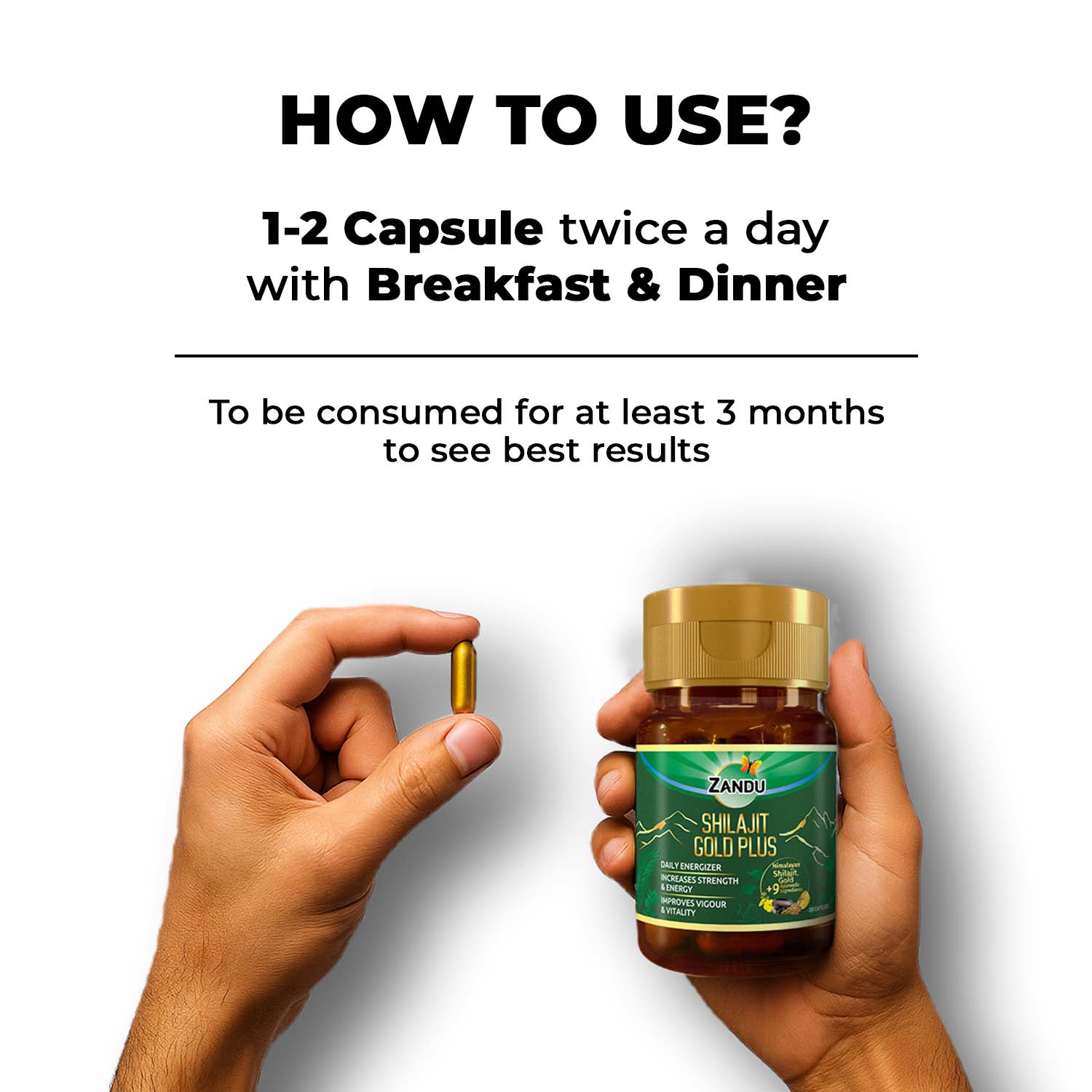 Zandu Shilajit Gold Plus (20 Caps)