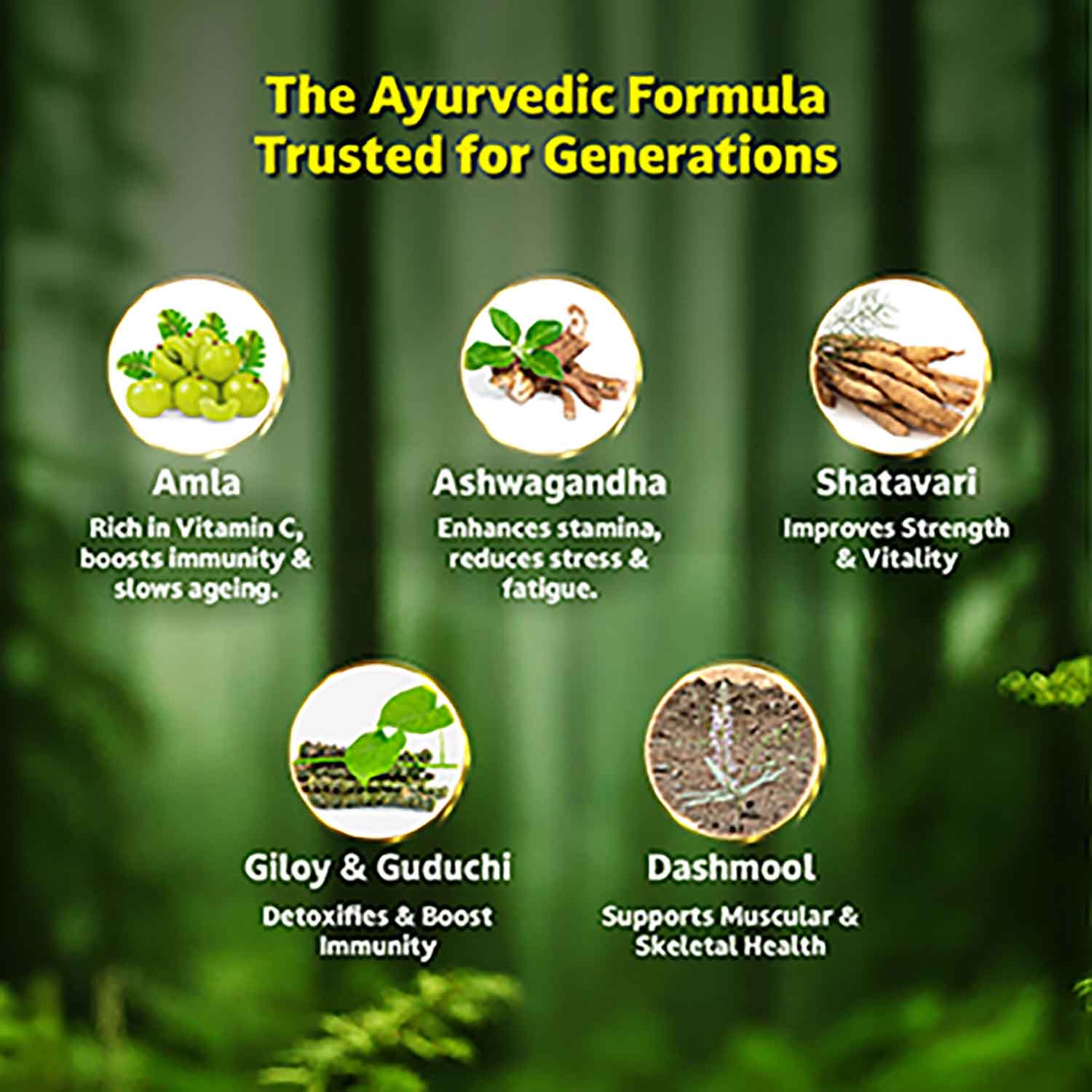 Zandu Chyavanprash Avaleha for Immunity, Strength, Stamina & Vitality