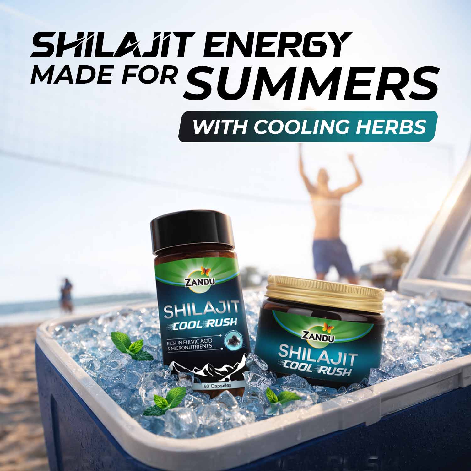 Zandu Shilajit Cool Rush