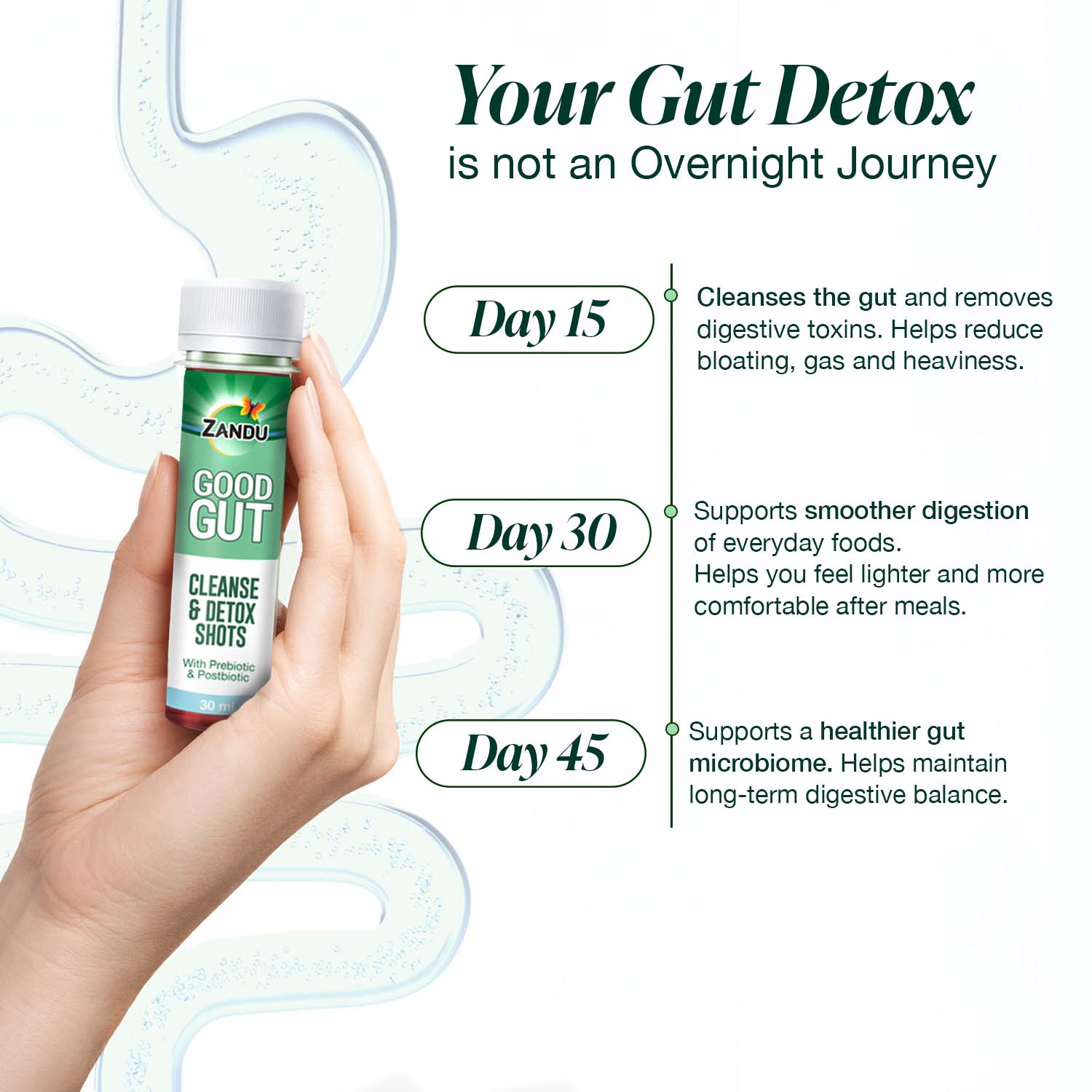 Zandu Good Gut Cleanse & Detox Shots