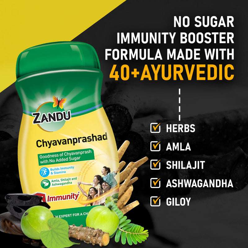 Zandu Chyavanprashad Sugar Free 900g 50 rs off (2X Immunity & Stamina)