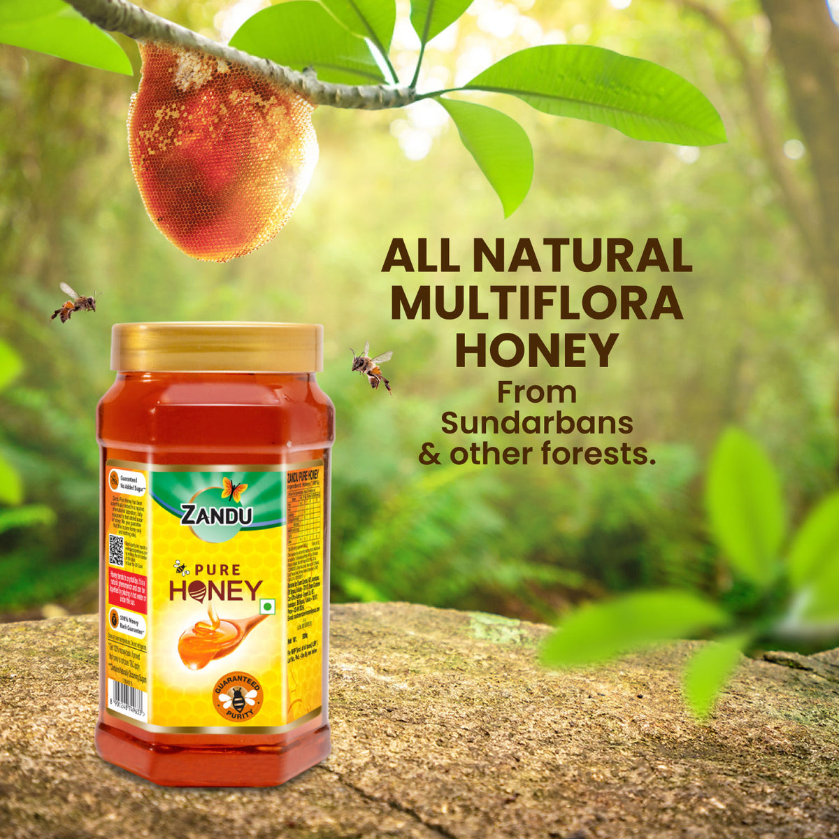 Zandu Pure Honey 500g