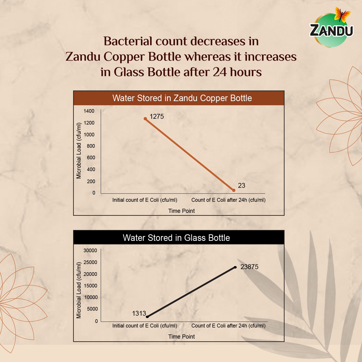 Anti Bacterial Zandu Copper Bottle