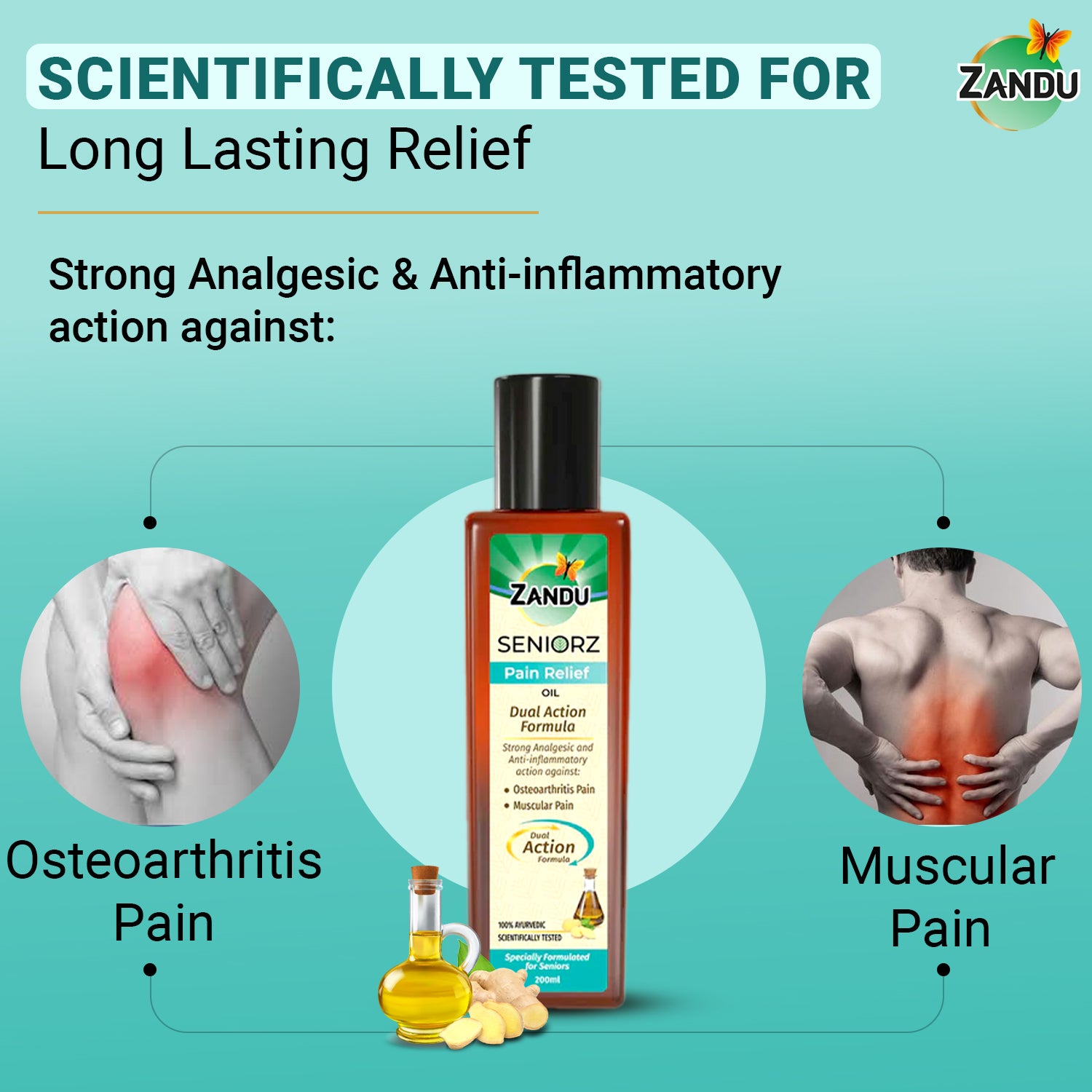 Zandu Seniorz Pain Relief Oil