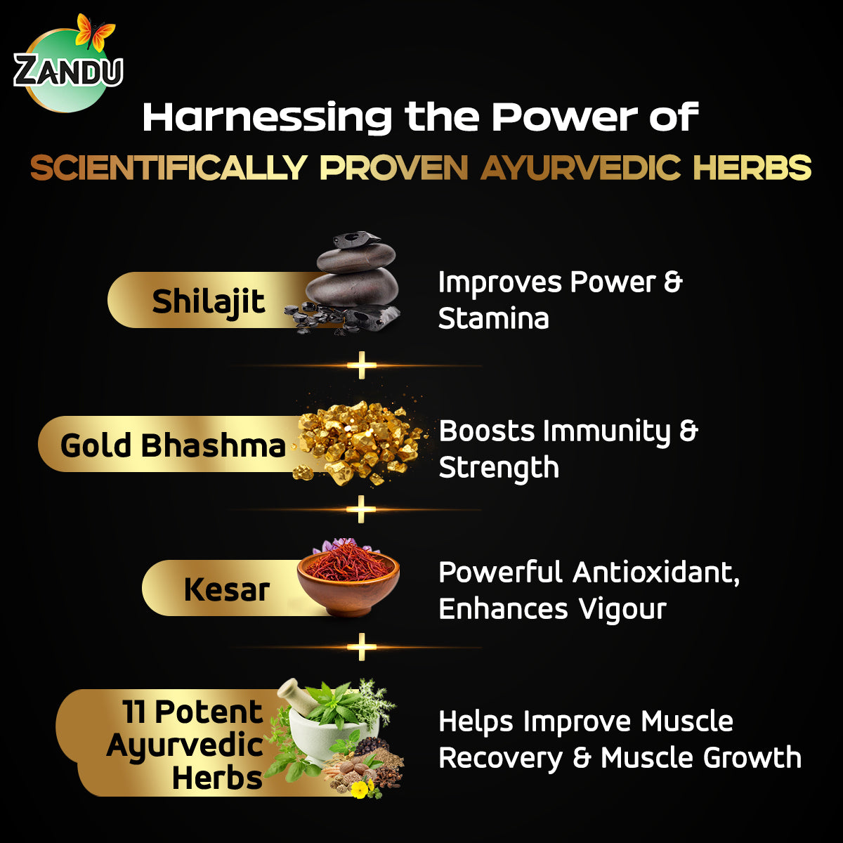 Shilajit Gold Resin Ingredients