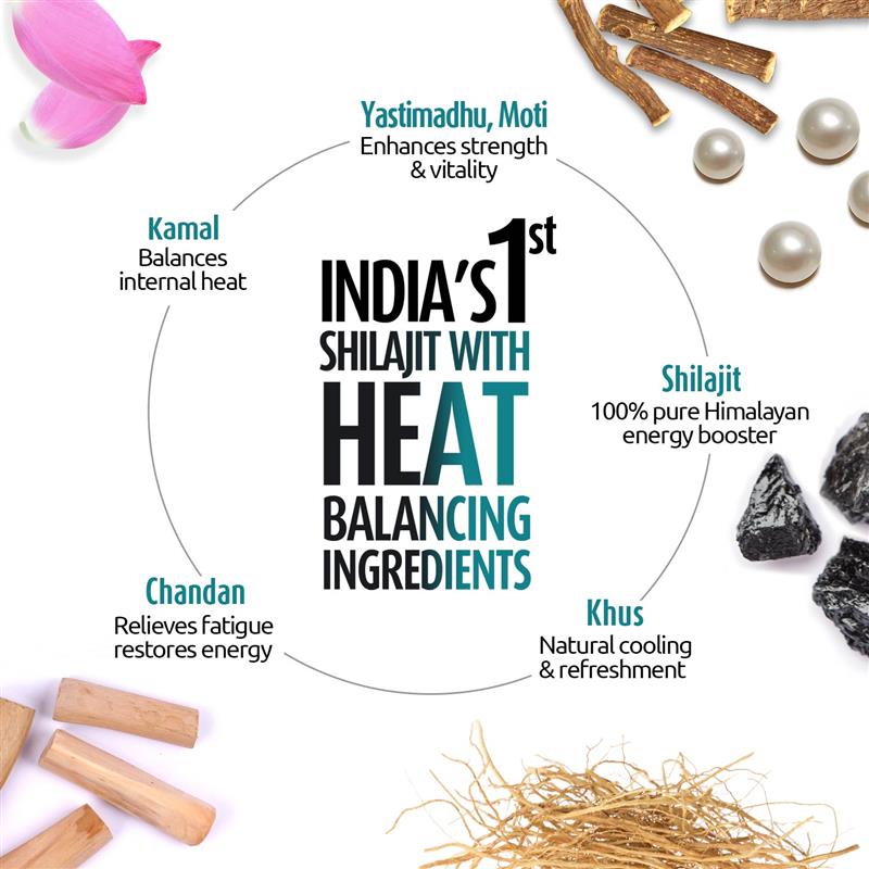 Zandu Shilajit Cool Rush