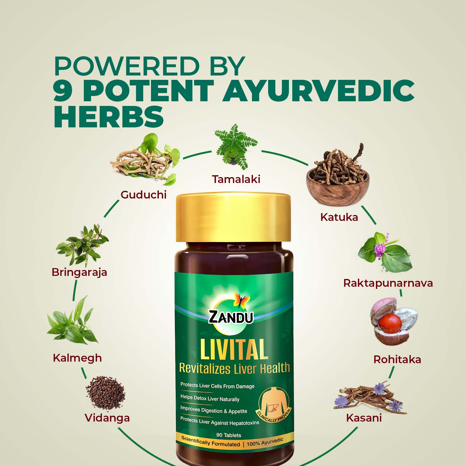 Zandu Livital Liver Detox Tablet ingredients