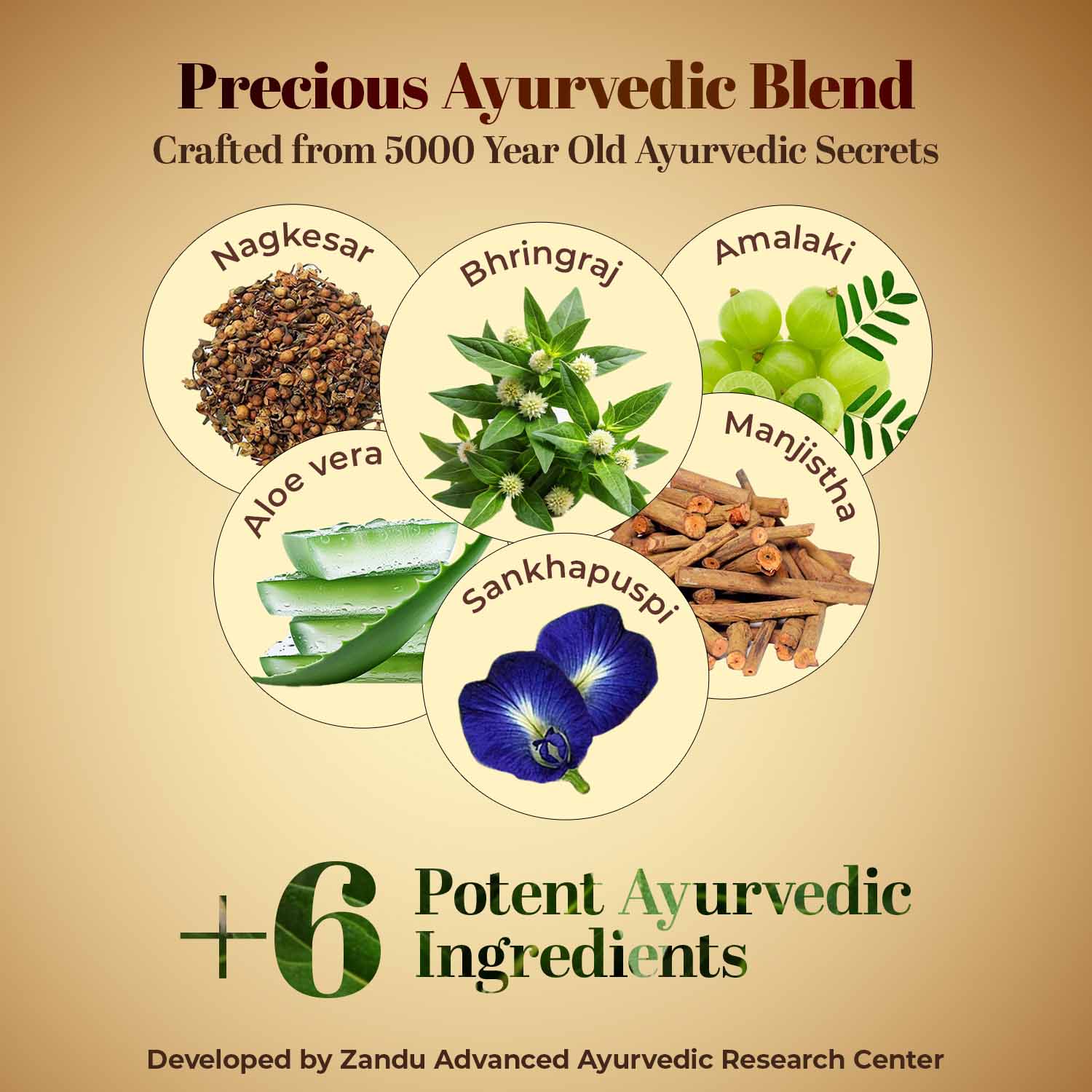 Zandu Ayurvedic Hair Growth Capsule