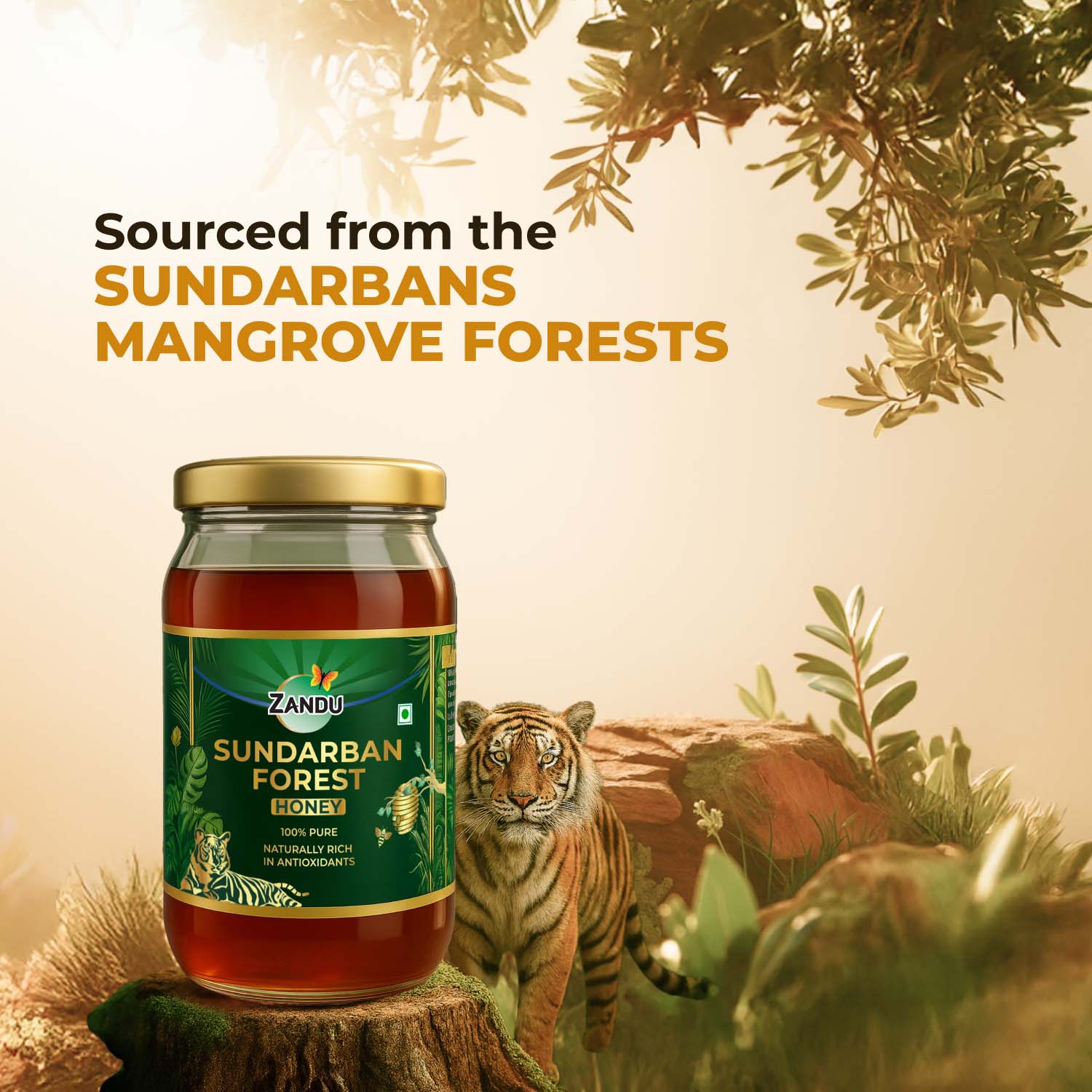 Zandu Sundarban Forest Honey