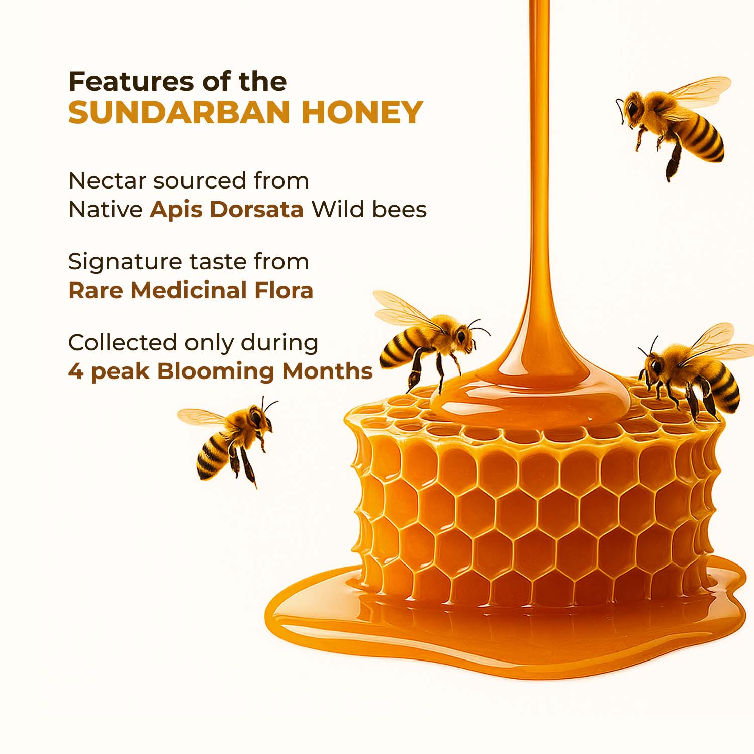 Zandu Sundarban Forest Honey