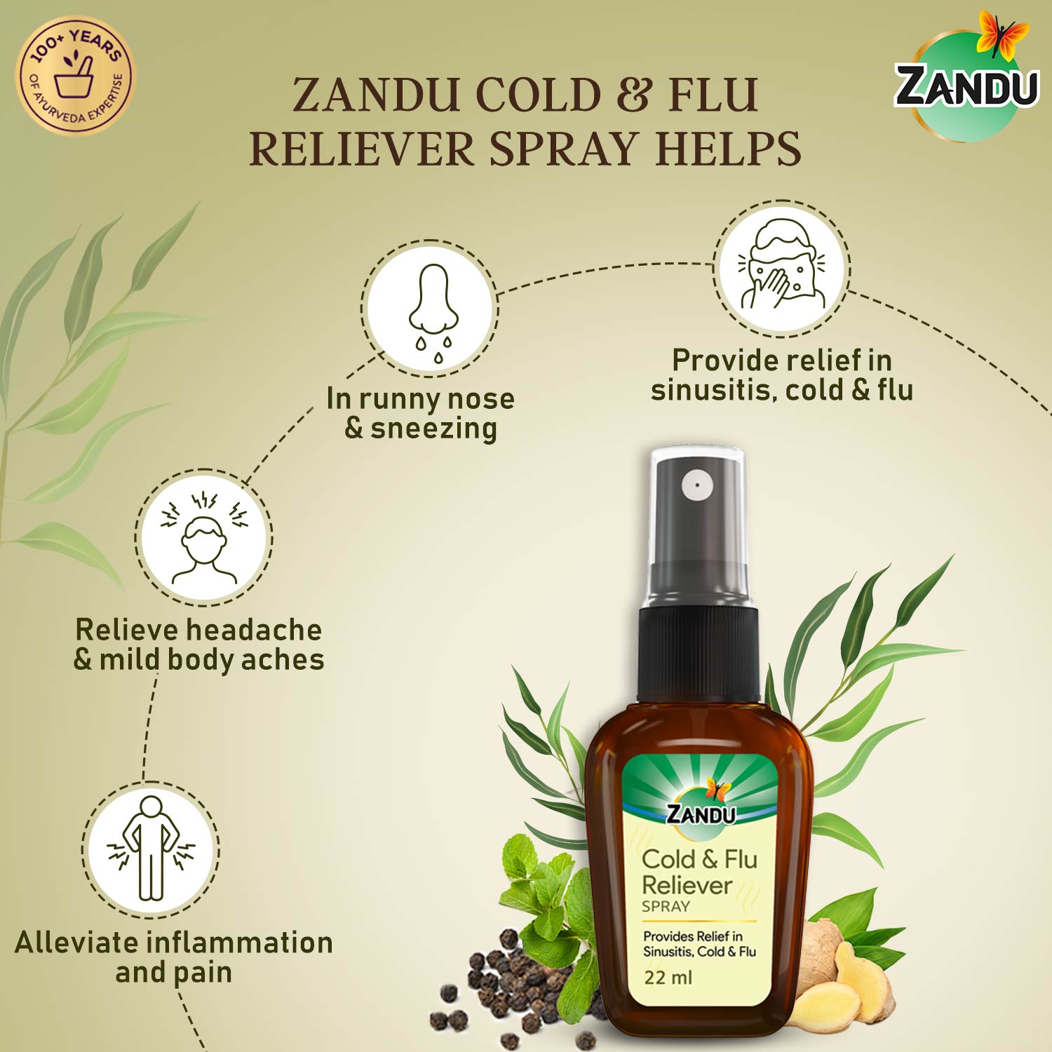 Zandu Cold & Flu Nasal Reliever Spray for Cold benefits