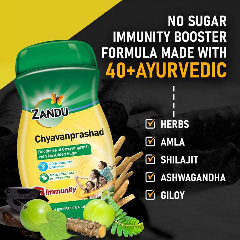 Zandu Chyavanprashad Sugar Free (2X Immunity & Stamina)