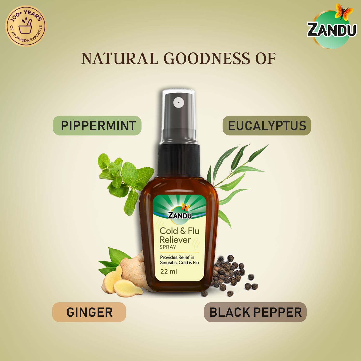 Zandu Cold & Flu Nasal Reliever Spray ingredients