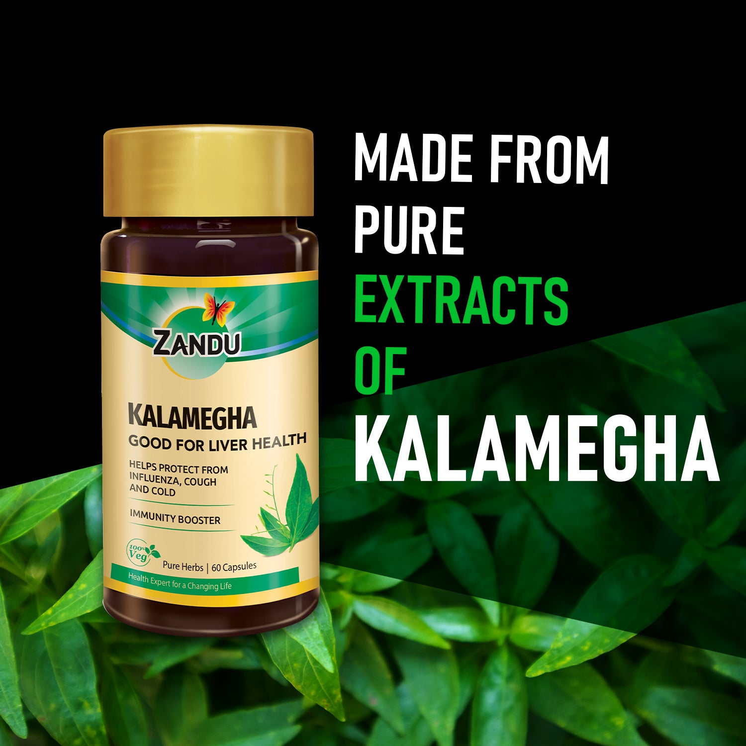 Pure Kalamegha Capsules