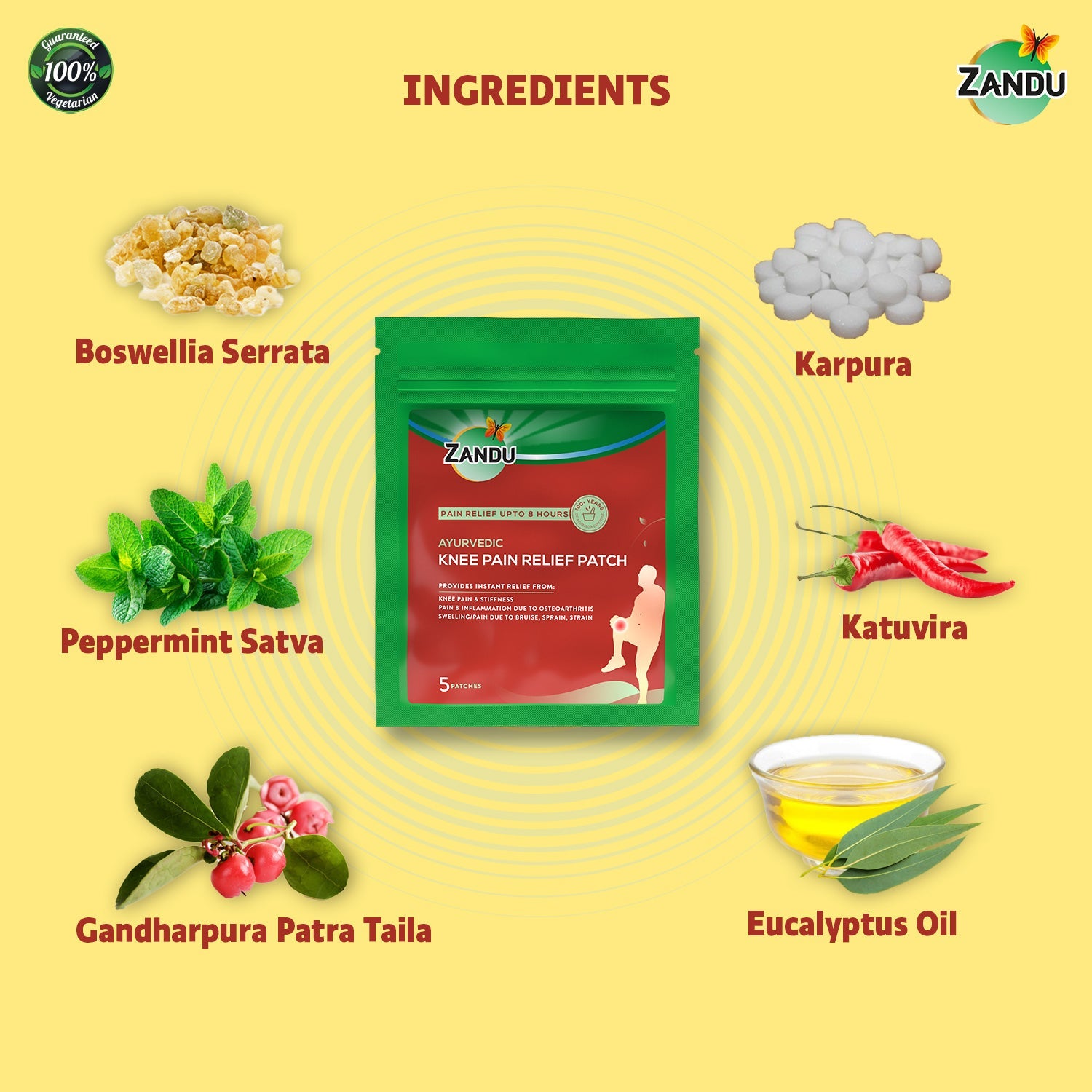 Zandu Knee Pain Relief Patch