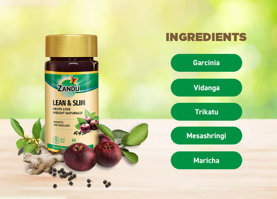 Zandu Lean & Slim Ingredients