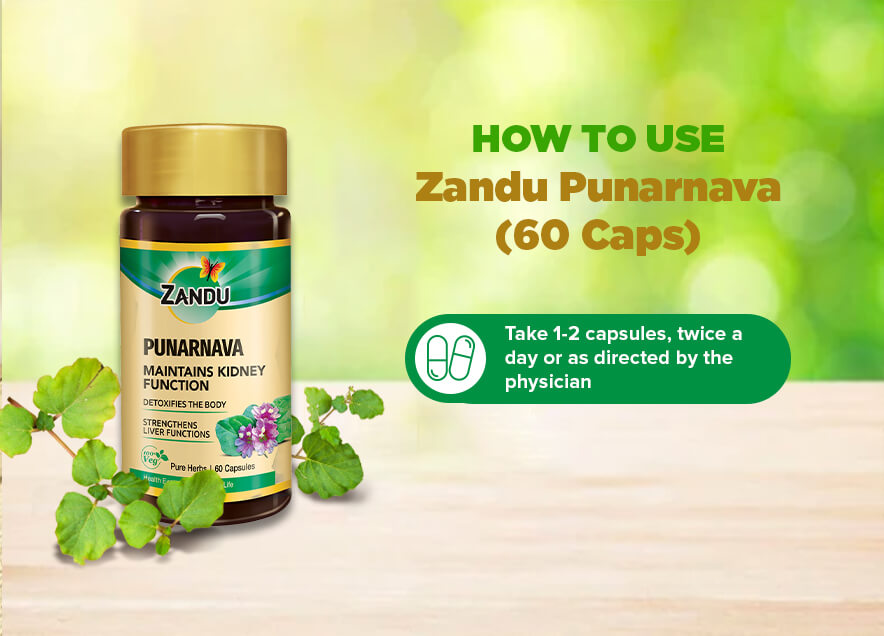 Dosage of Zandu Punarnava Capsule