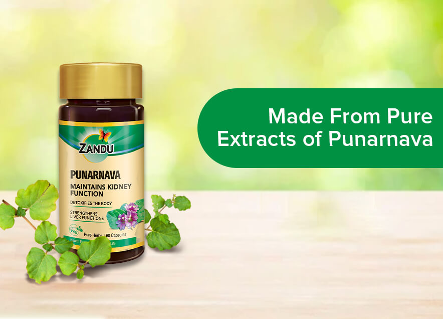 Zandu Punarnava Pure Extracts