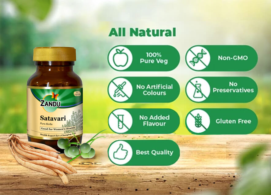 Why Choose Zandu Satavari Capsules?