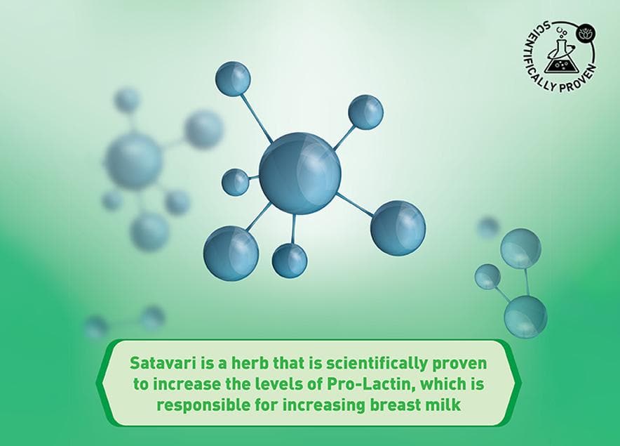 Benefits of Satavari for Lactation