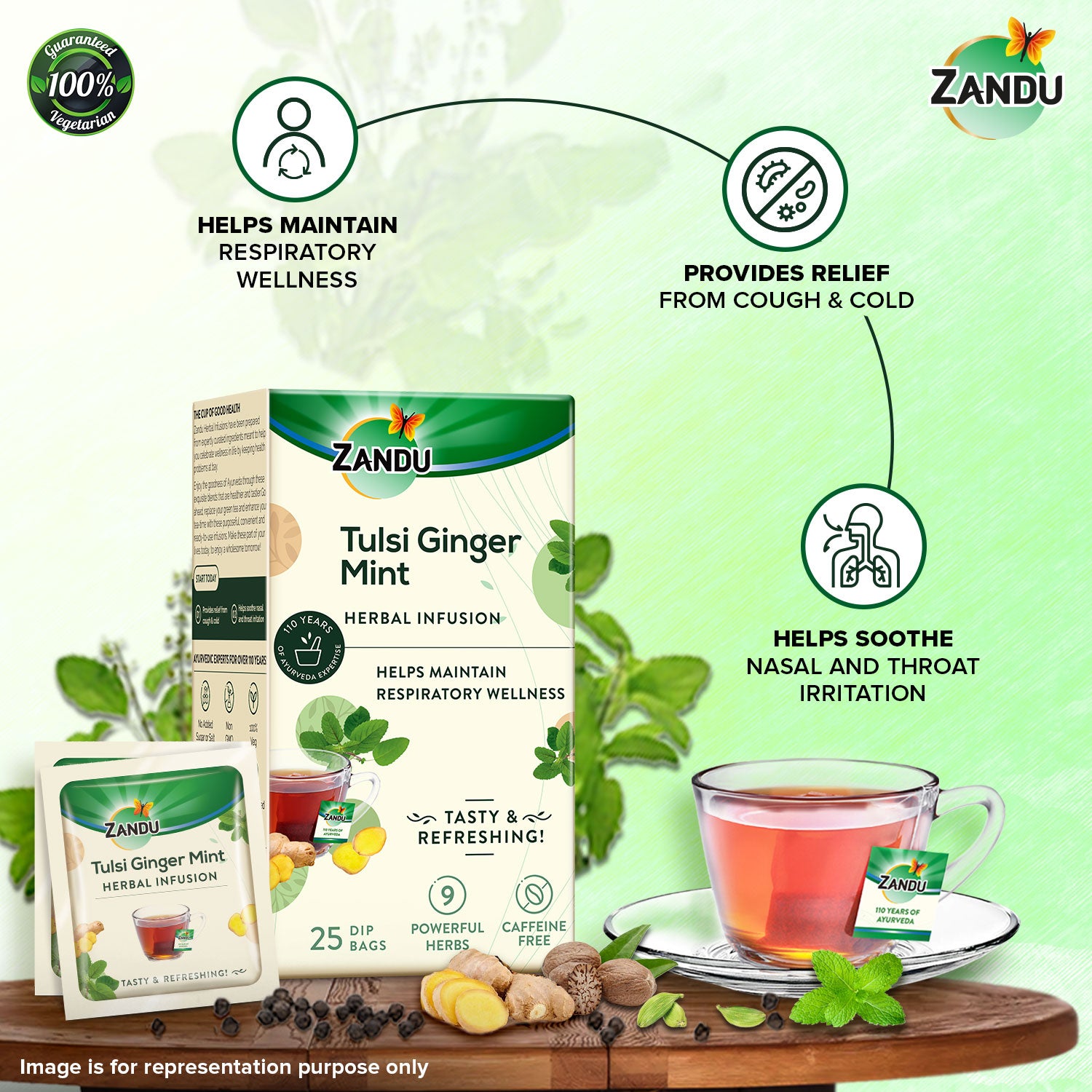 Tulsi Ginger Mint Herba Tea benefits
