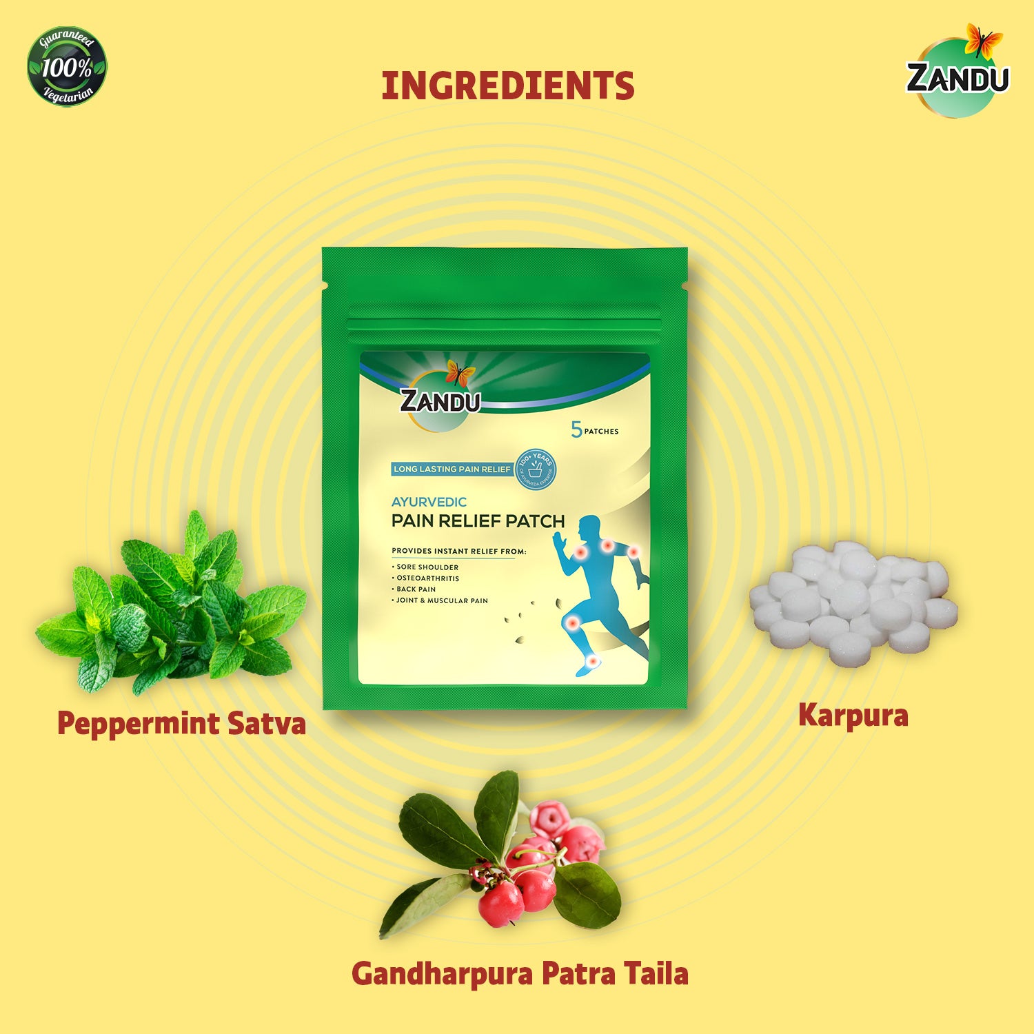 Zandu Pain Release Patch