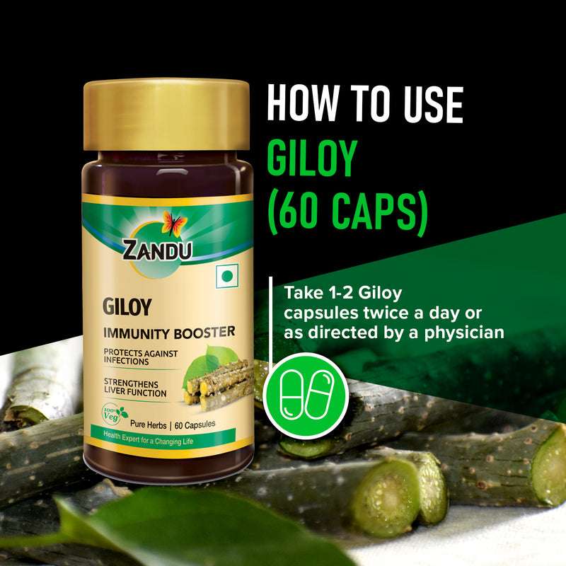 Giloy (60 Caps) (Pack of 2)