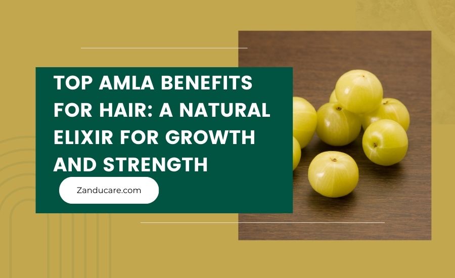 Amla Benefits for Hair