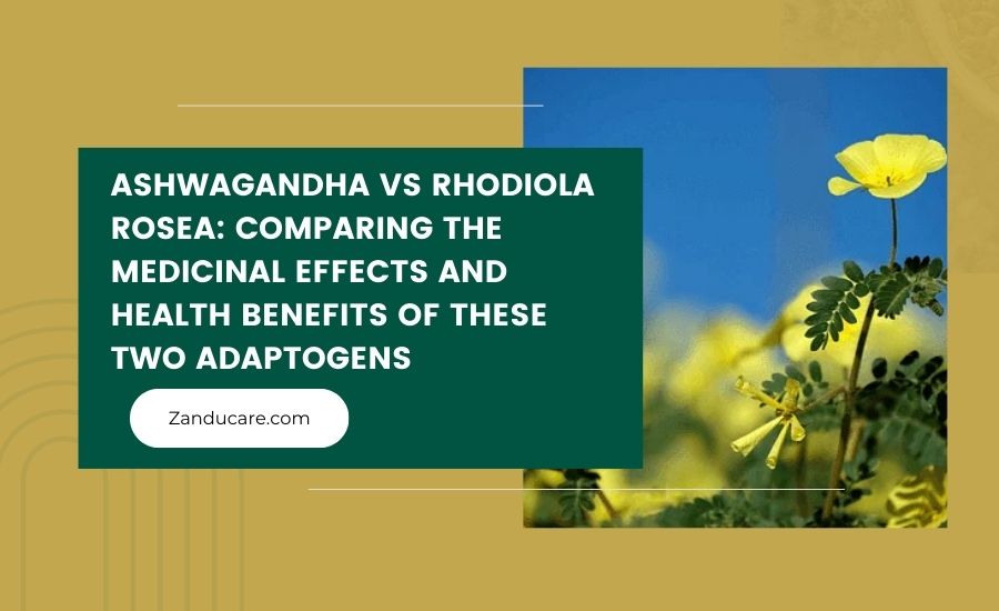 Ashwagandha vs Rhodiola Rosea