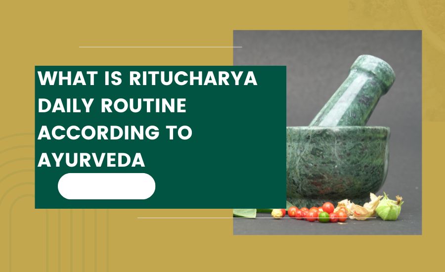 What is Ritucharya?