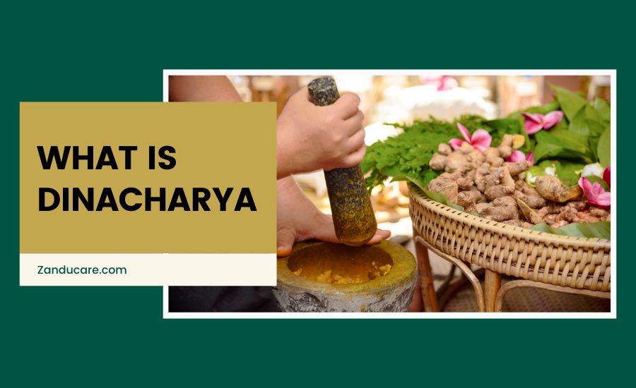 What is Dinacharya?